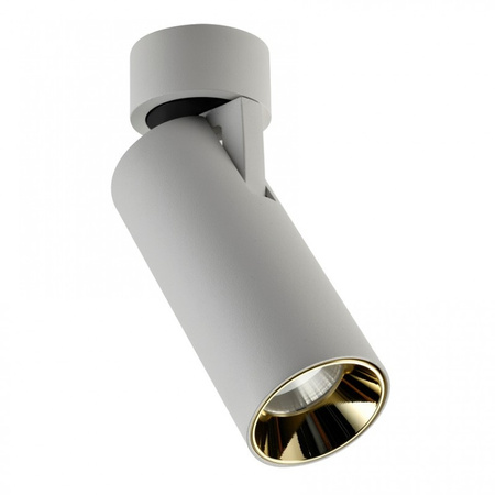 Spot Reflektor Sufitowy Berella Light Basi WH / GD BL5176