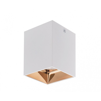 Berella Light Piri 1 WH + CO BL5159