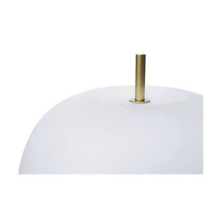 Berella Light Peonia TL BL0138