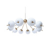 Berella Light Peonia 10 BL0124