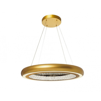 Berella Light Zoja 65 GD BL5440
